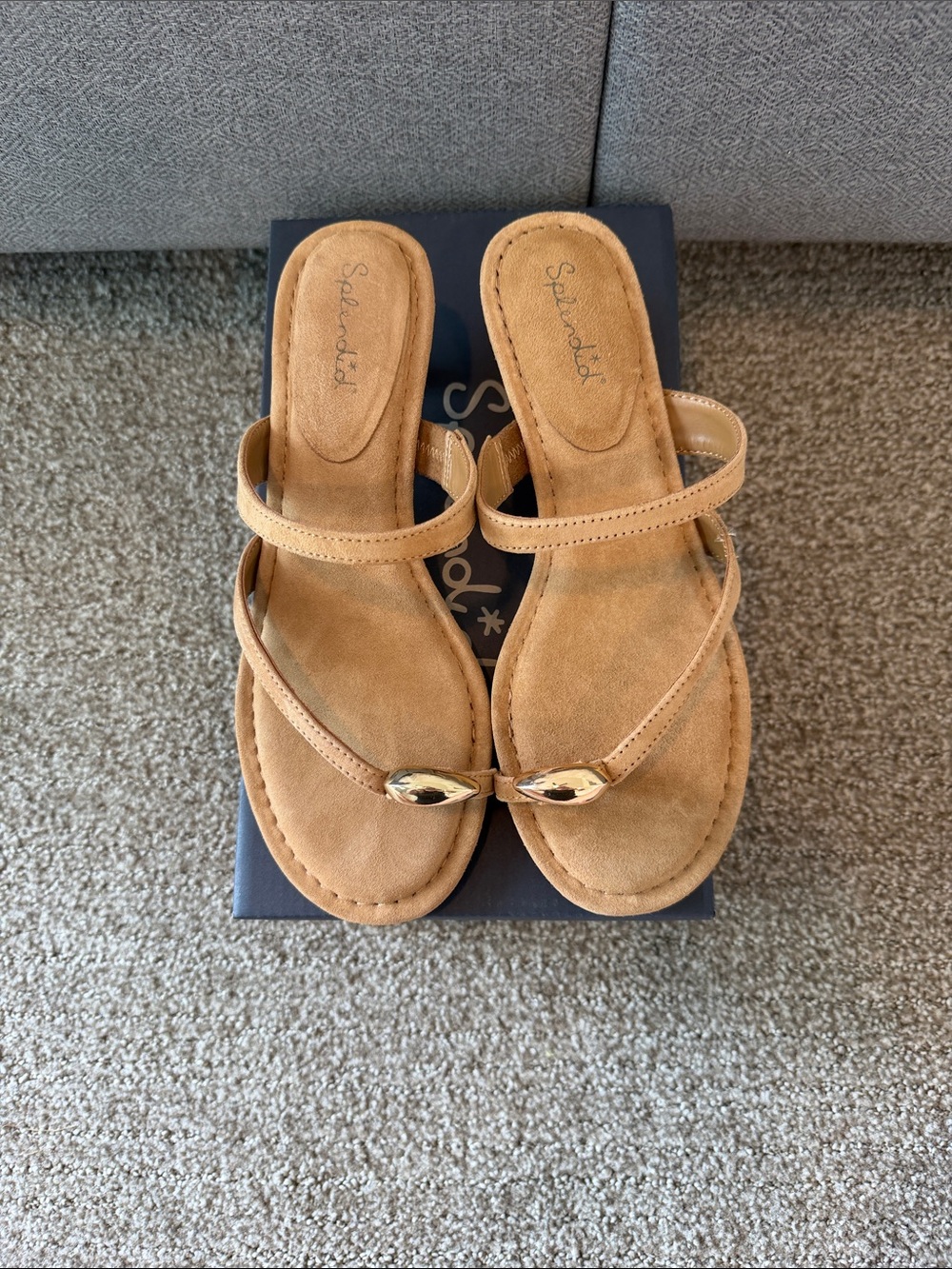 Splendid Tan Suede Toe-Post Sandals with Gold Detail